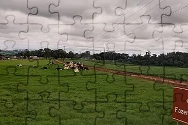 Gado Pastando jigsaw puzzle