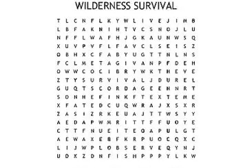 WILDERNESS SURVIVAL