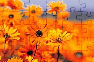 Foto jigsaw puzzle