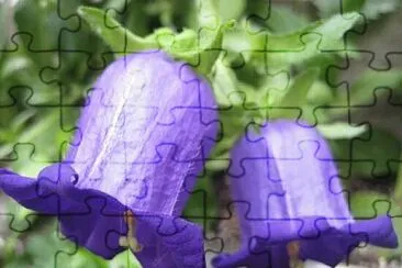 Foto jigsaw puzzle