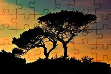 Foto jigsaw puzzle