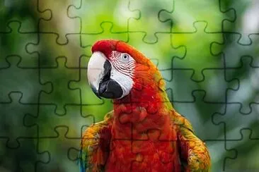 Foto jigsaw puzzle