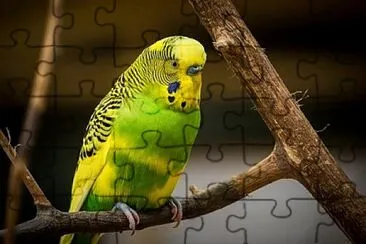 Foto jigsaw puzzle