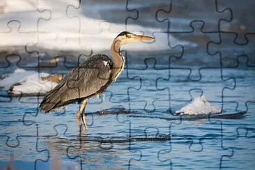 Foto jigsaw puzzle