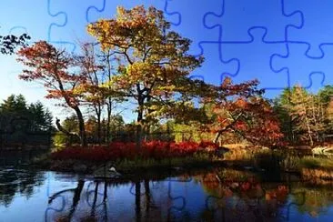 Foto jigsaw puzzle