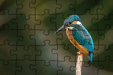 Foto jigsaw puzzle