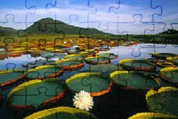 Foto jigsaw puzzle