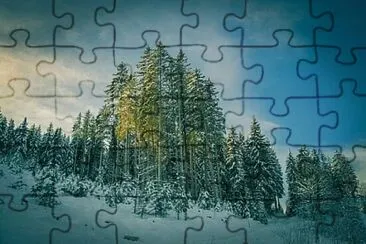 Foto jigsaw puzzle