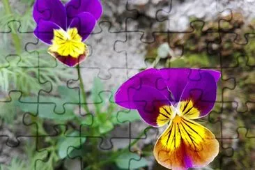 FLOWERS jigsaw puzzle