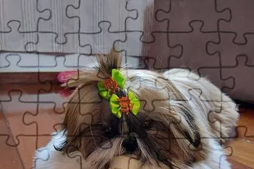 ATHENA jigsaw puzzle