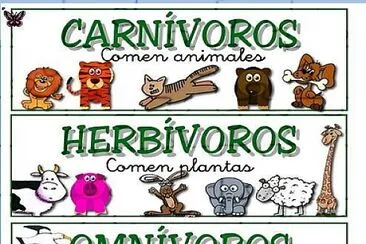 ANIMALES SEGUN SU ALIMENTACIÓN