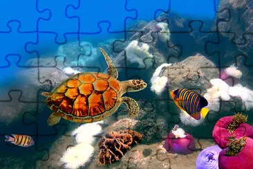 ECOSISTEMA ACUÁTICO jigsaw puzzle