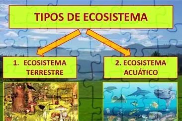 פאזל של CLASES DE ECOSISTEMAS