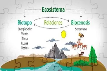 פאזל של Ecosistema