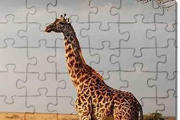 jirafa jigsaw puzzle