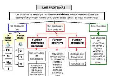 פאזל של Proteínas