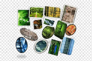 Rompecabezas de Bosques Selvas y Matorrales jigsaw puzzle