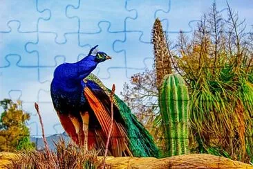 Foto jigsaw puzzle