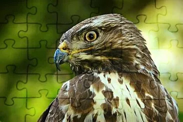 Foto jigsaw puzzle