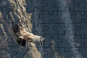 Foto jigsaw puzzle