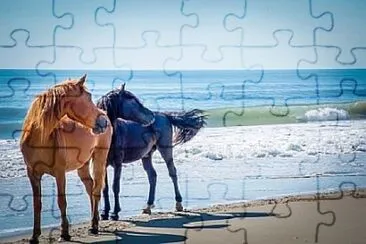 Foto jigsaw puzzle