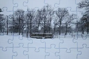 February snow storm 2021 jigsaw puzzle