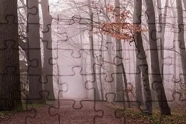 Foto jigsaw puzzle