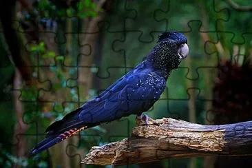 Foto jigsaw puzzle