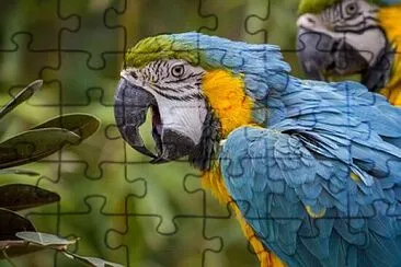 Foto jigsaw puzzle