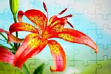 Foto jigsaw puzzle