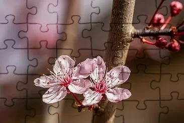 Foto jigsaw puzzle