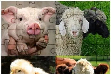 Animales de granja jigsaw puzzle