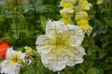 Foto jigsaw puzzle