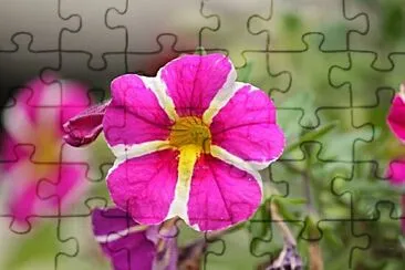 Foto jigsaw puzzle