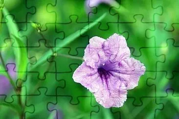 Foto jigsaw puzzle