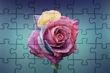 Foto jigsaw puzzle