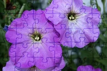 Foto jigsaw puzzle