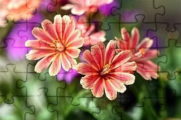 Foto jigsaw puzzle