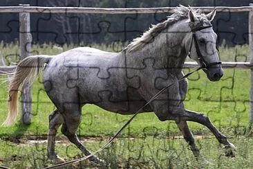 Foto jigsaw puzzle