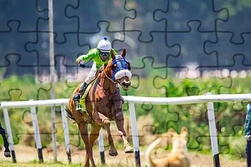 Foto jigsaw puzzle