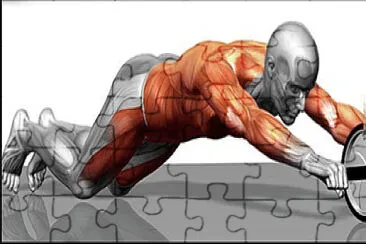 6TO ABDOMINALES jigsaw puzzle