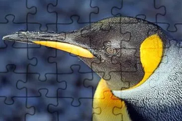 Foto jigsaw puzzle