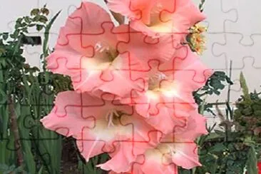 Foto jigsaw puzzle