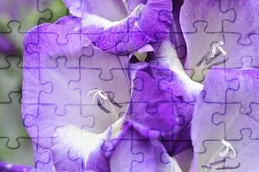 Foto jigsaw puzzle