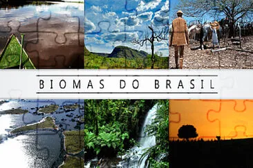 פאזל של Biomas brasileiros