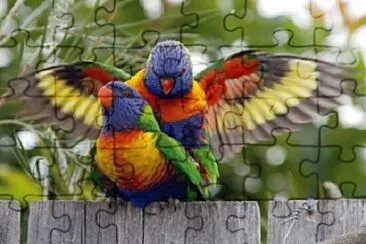 Foto jigsaw puzzle