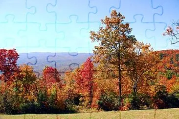 Foto jigsaw puzzle