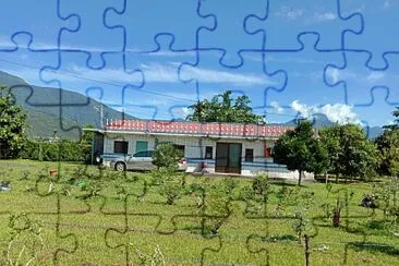 WSE jigsaw puzzle