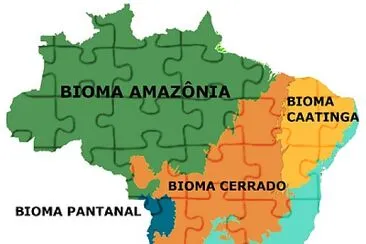 MONTE E DESCUBRA QUANTOS SÃO OS PRINCIPAIS BIOMAS BRASILEIROS.