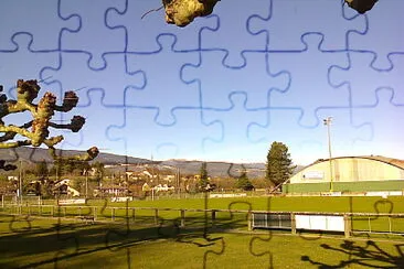 La Tène jigsaw puzzle